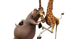 Film d'animazione MADAGASCAR