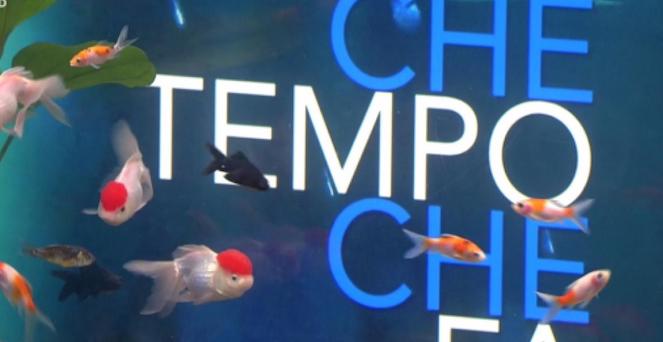STASERA IN TV, i programmi televisivi di domenica 17 febbraio 2019