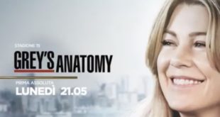 Grey's Anatomy 15
