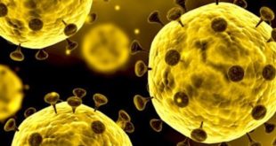 Il paradiso delle signore e Un posto al sole: la situazione legata al Coronavirus