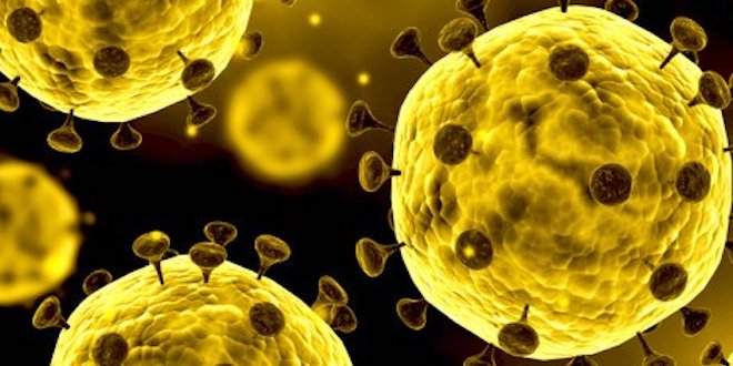 Il paradiso delle signore e Un posto al sole: la situazione legata al Coronavirus