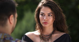 SANEM di Daydreamer