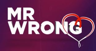 Mr Wrong - Lezioni d'amore