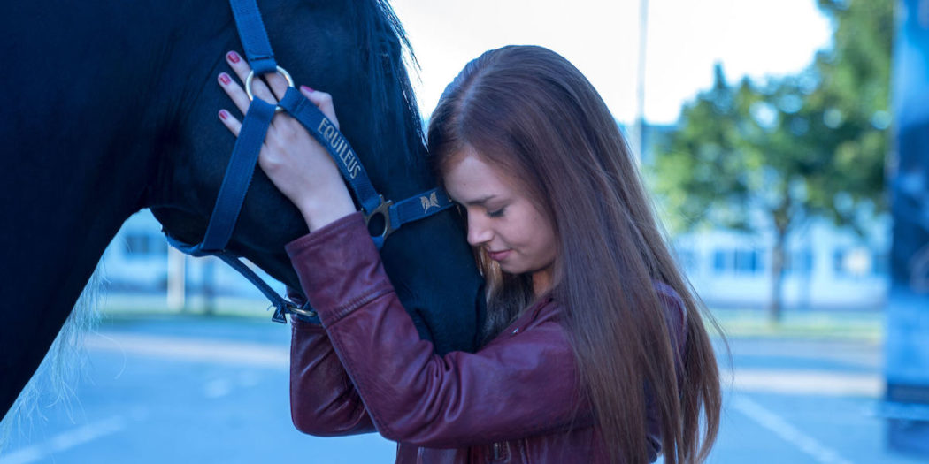 Windstorm 5 Uniti per sempre, trama e cast del film di stasera (26