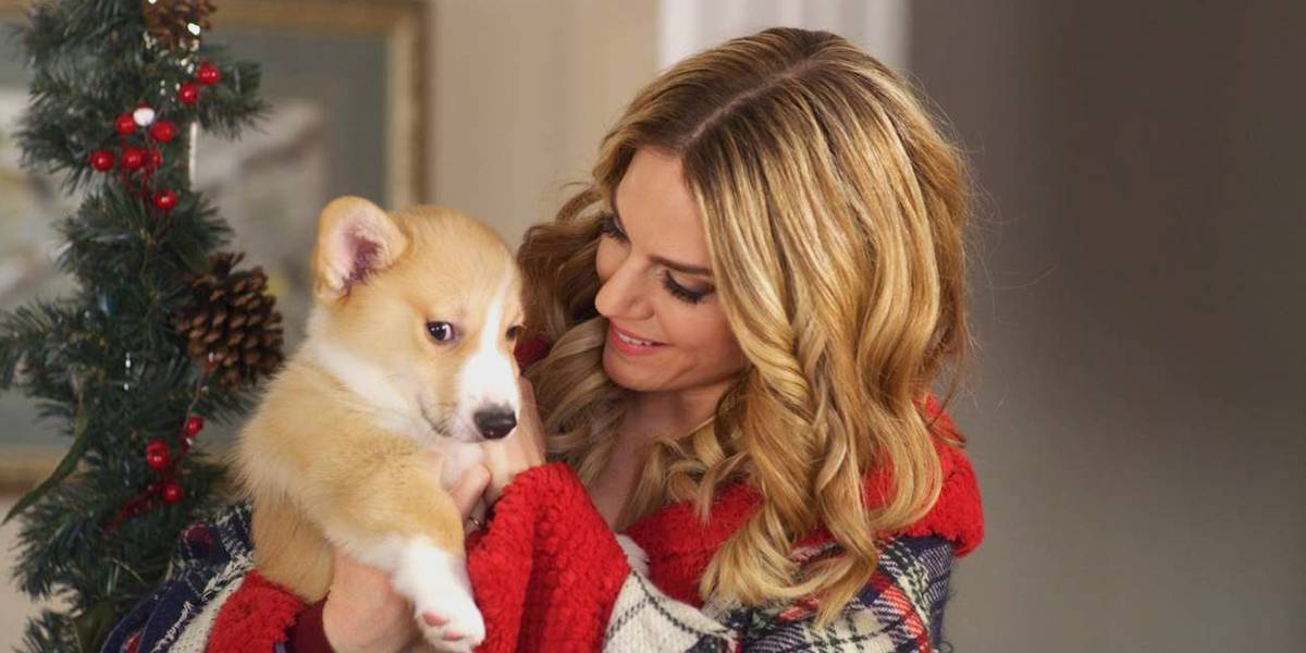 Un Natale da film di Canale 5 del 23 dicembre 2021 Trama Un Natale da film di Canale 5 del 23 dicembre 2021 Trama