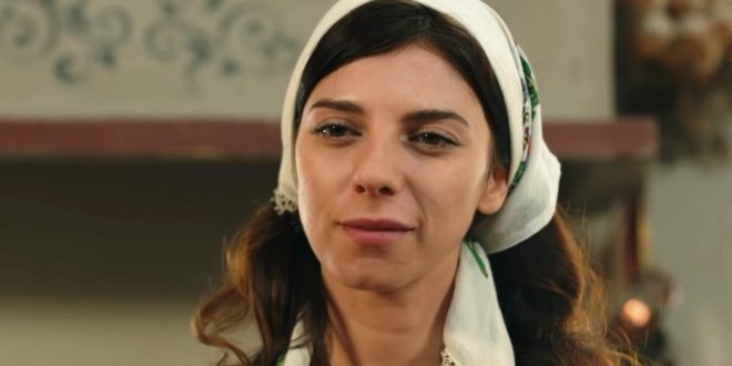 Terra amara / SEHER