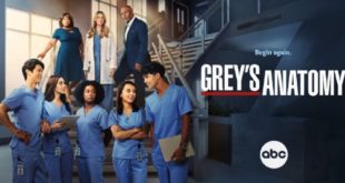 Grey's anatomy, stagione 19