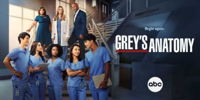 Grey's anatomy, stagione 19
