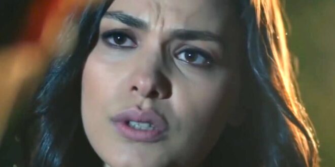 Zeynep / Endless love