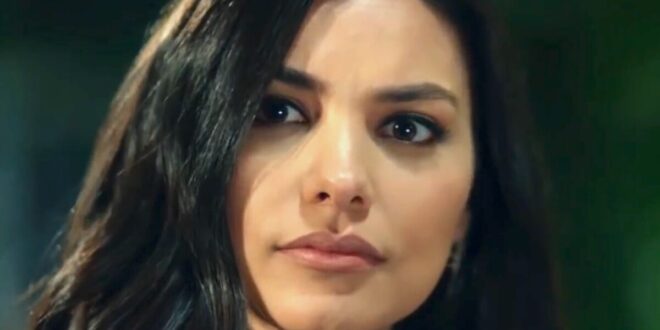 Zeynep / Endless love