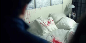 Il letto insanguinato di Asu / Endless love