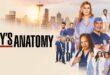 Grey's Anatomy 21