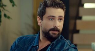 Alihan / Forbidden fruit