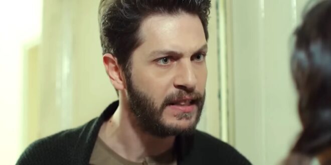 Caner e Ender / Forbidden fruit