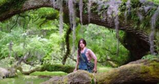 Film La ragazza della palude