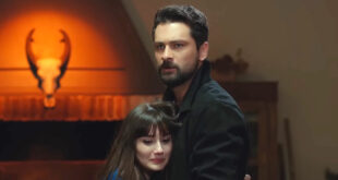 Alihan e Zeynep / Forbidden fruit