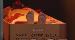 cLe dieci dita di Sheila