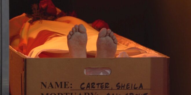 cLe dieci dita di Sheila