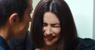 Yigit e Sahika / Forbidden fruit