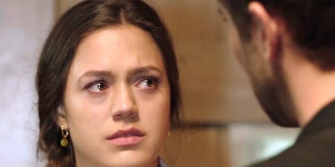 Maxi e Henry / Tempesta d'amore (screenshot)